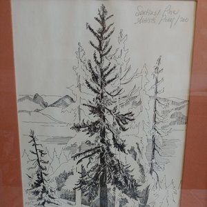 Pan Eimon Artist Proof Sentinel Pine